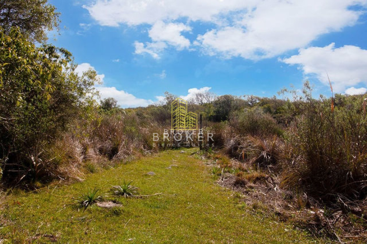 Chacra ID.308/Venta_Chacra_Maldonado_Broker_1503_(ref:_Bkb-1503) - 