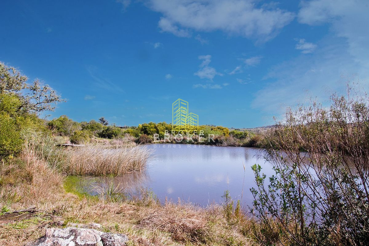 Chacra ID.308/Venta_Chacra_Maldonado_Broker_1503_(ref:_Bkb-1503) - 