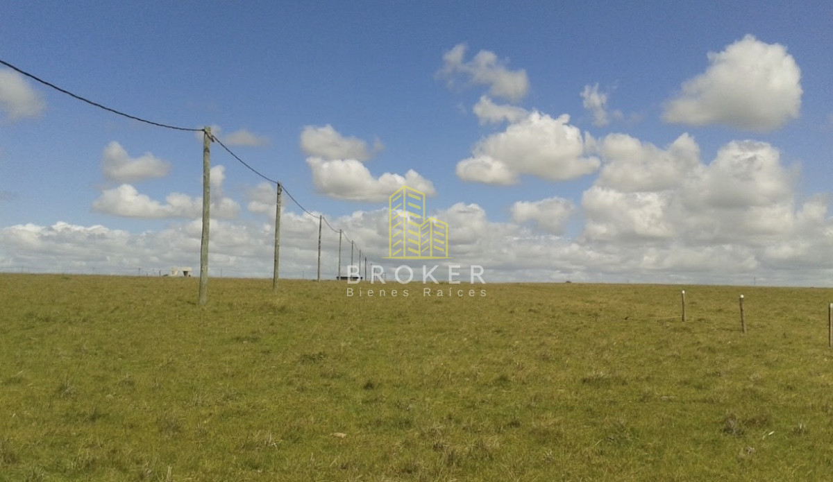 Terreno ID.9554/Venta_Terreno_San_Bernardo_Rocha_Pueblo_Nuevo - Venta Terreno San Bernardo Rocha Pueblo Nuevo