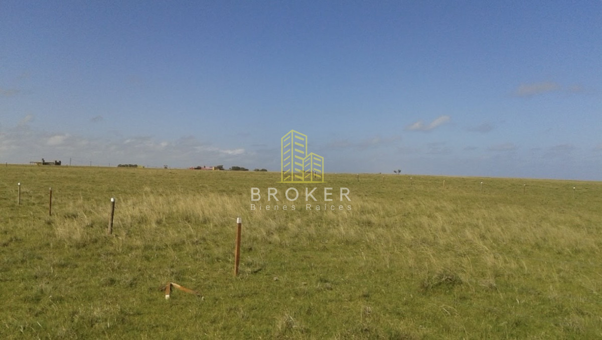 Terreno ID.9554/Venta_Terreno_San_Bernardo_Rocha_Pueblo_Nuevo - Venta Terreno San Bernardo Rocha Pueblo Nuevo