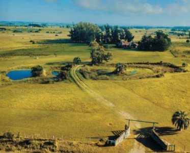 venta terreno barrio privado Jose Ignacio punta del este la morenita