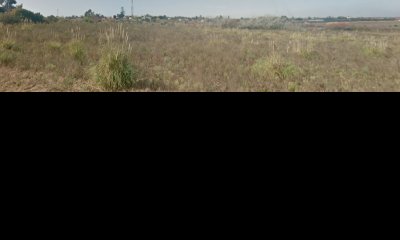 TERRENO DE 3 HECTAREAS EN ZONA DE EXPANSION DE LA CUIDAD DE PROGRESO