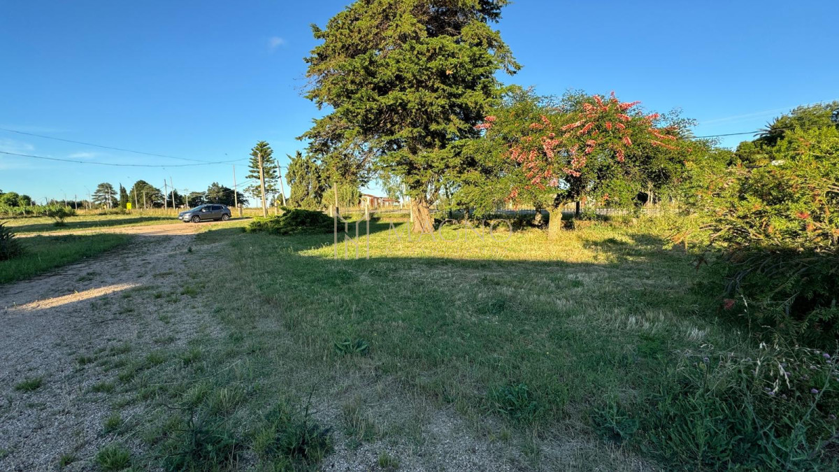 Campo Ref.604 - Terreno de 5 hectáreas con viña sobre ruta 33 