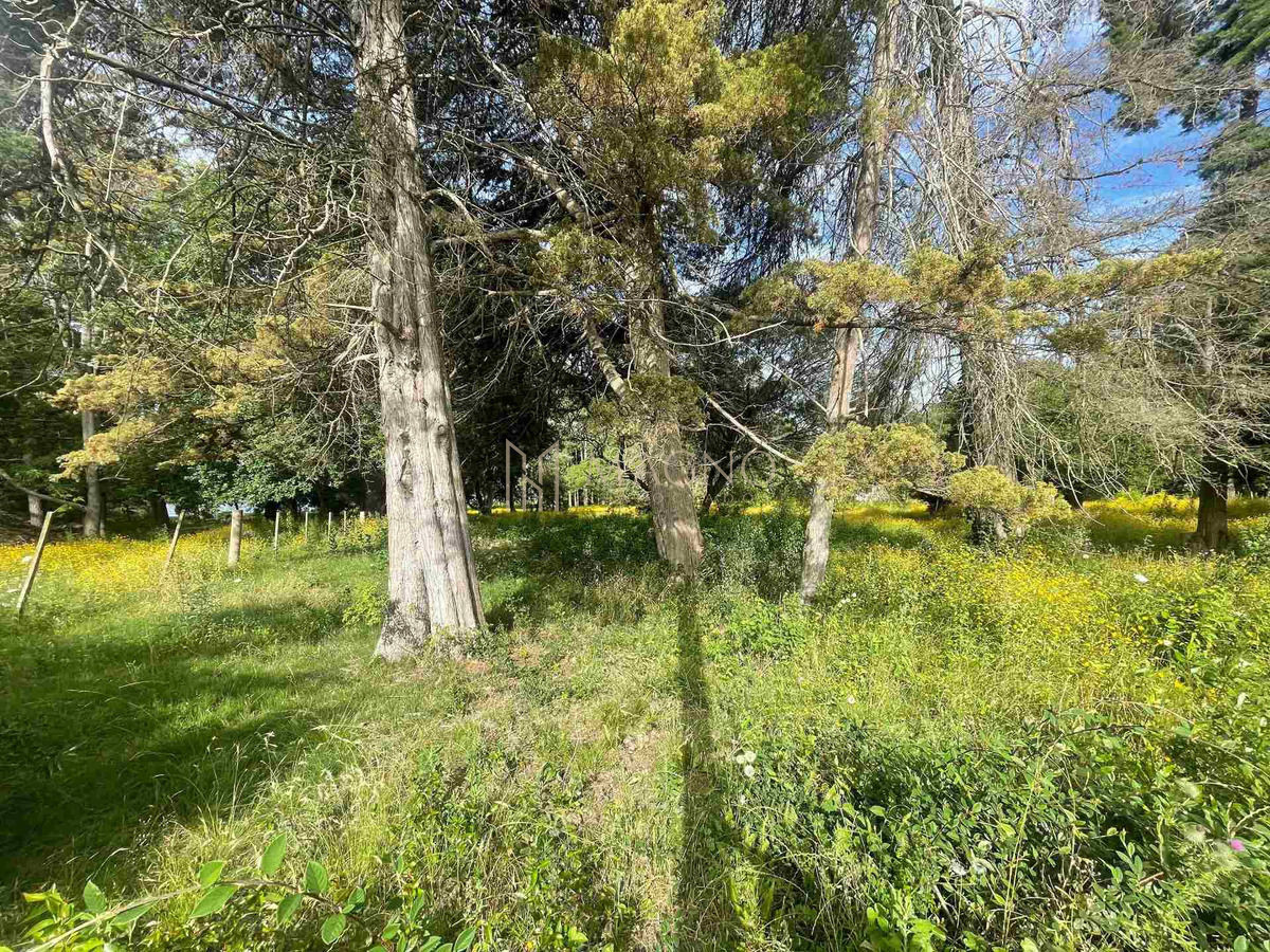 Terreno ID.23 - Terreno En Laguna Del Sauce