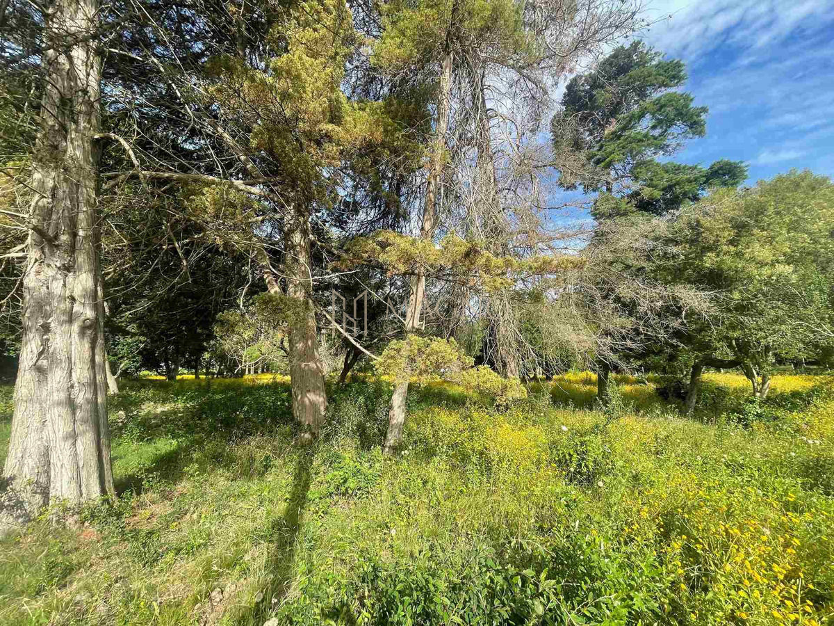 Terreno ID.23 - Terreno En Laguna Del Sauce