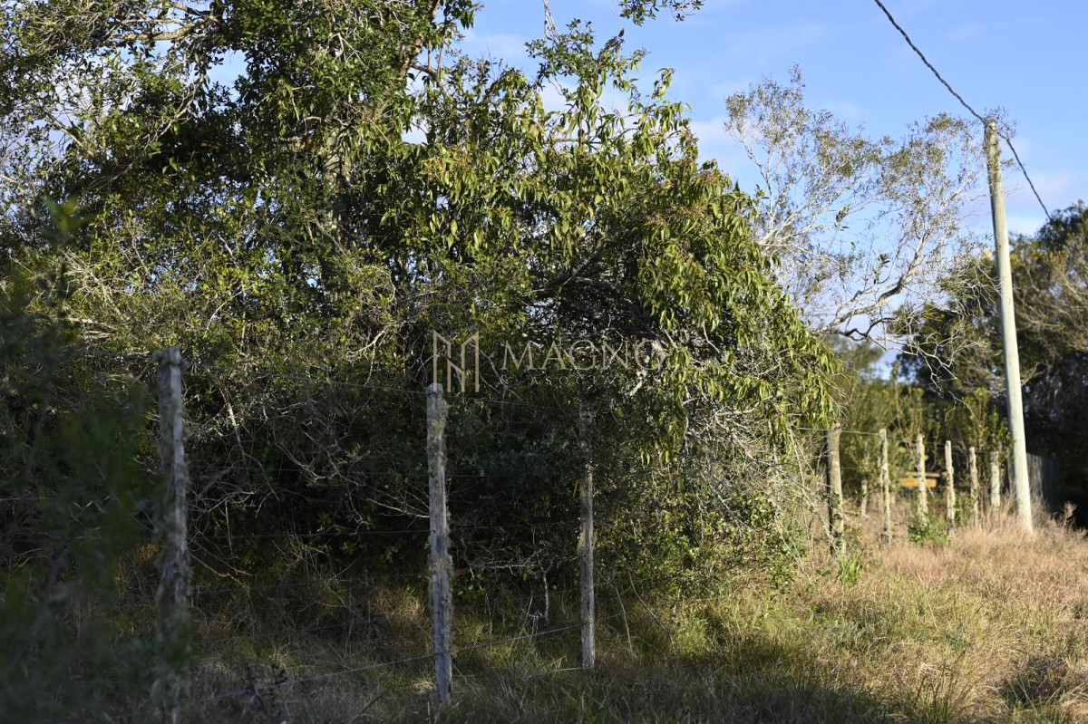Terreno ID.525 - Terreno en Villa Serrana 1118mts2