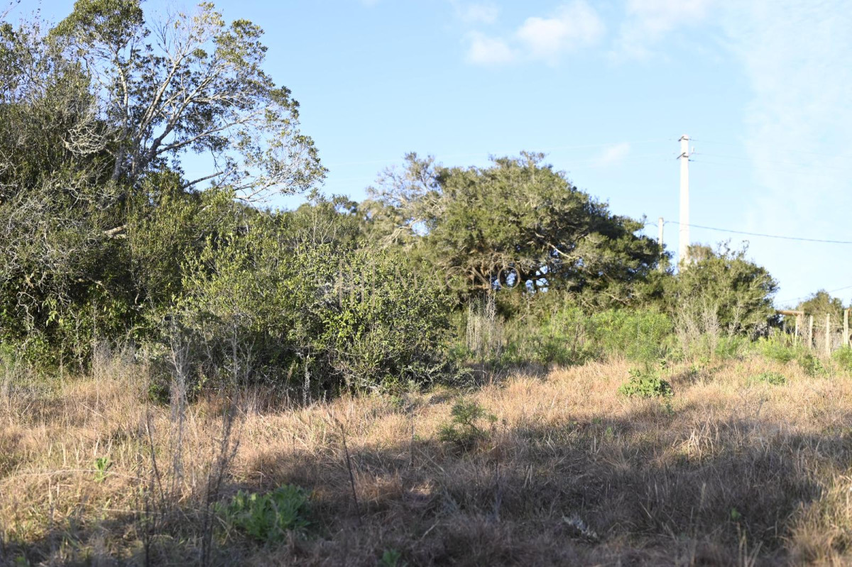Terreno ID.525 - Terreno en Villa Serrana 1118mts2