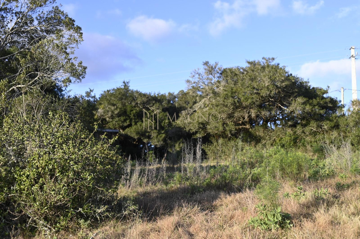 Terreno ID.525 - Terreno en Villa Serrana 1118mts2