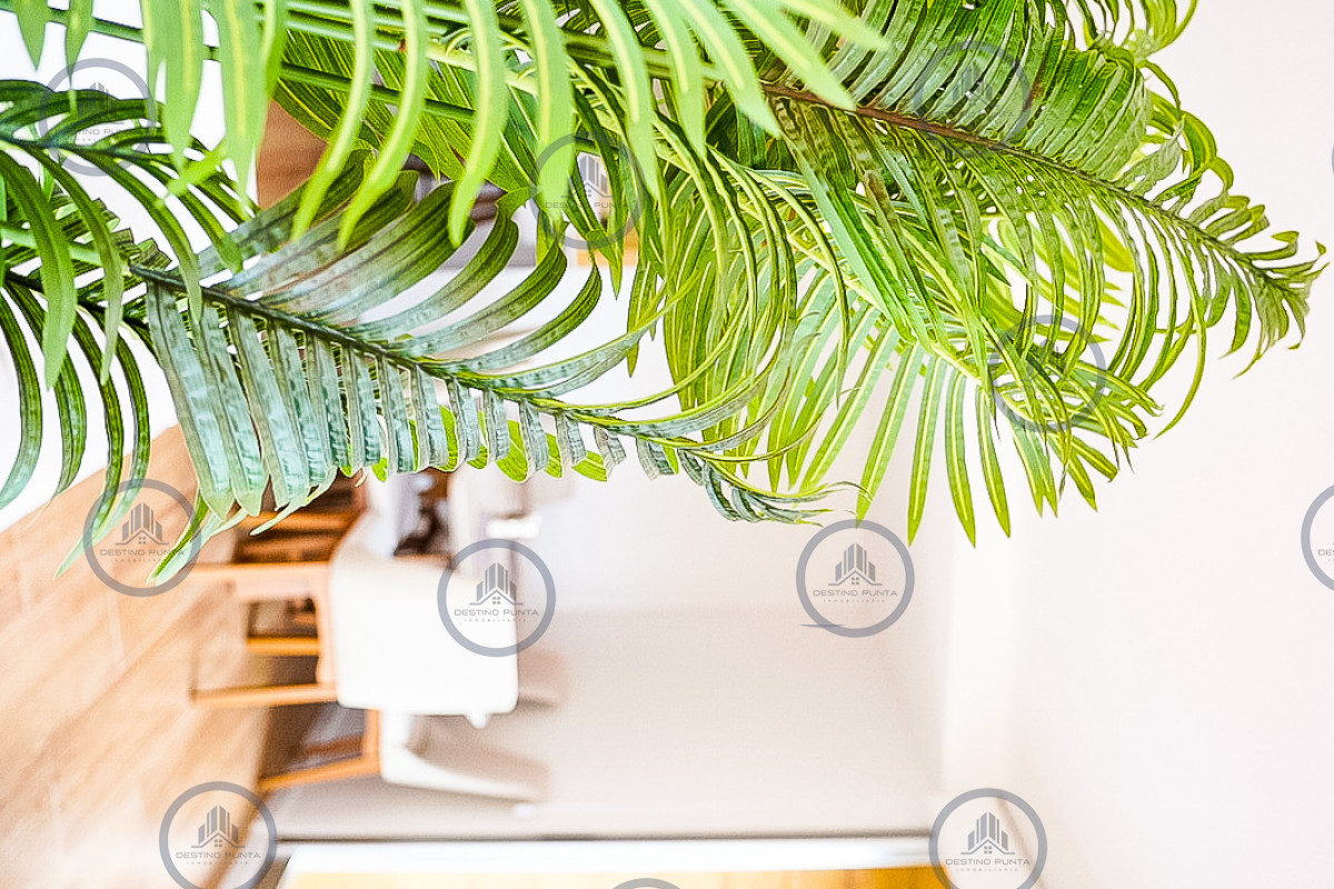 Apartamento ID.2164 - apartamento en venta en playa mansa Punta del este 