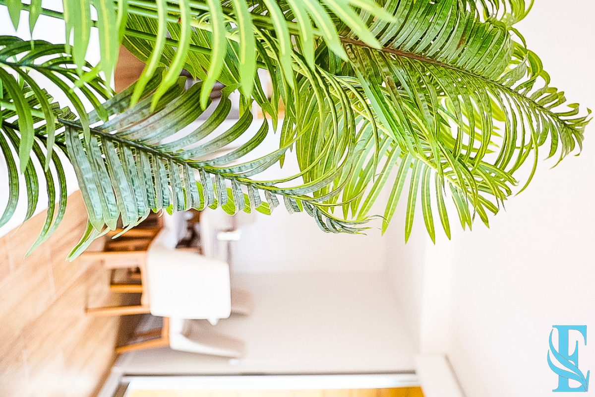 Apartamento ID.464 - apartamento en venta en playa mansa Punta del este 