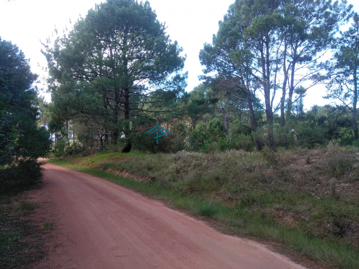 Terreno ID.225 - Terreno en venta en La Barra