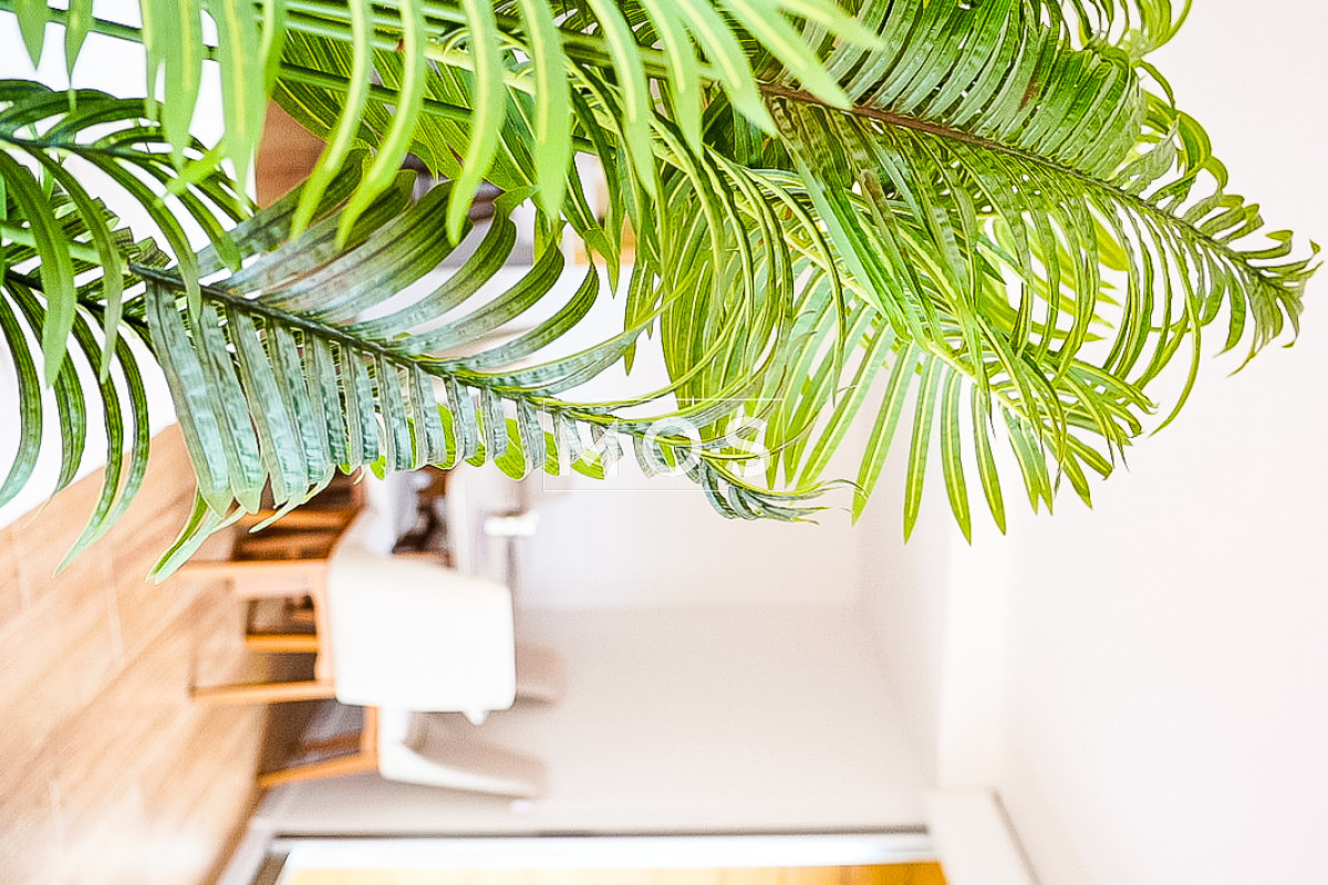Apartamento ID.2643 - apartamento en venta en playa mansa Punta del este 