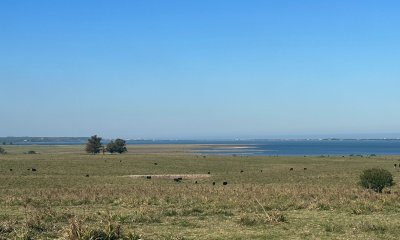 Chacra en José ignacio