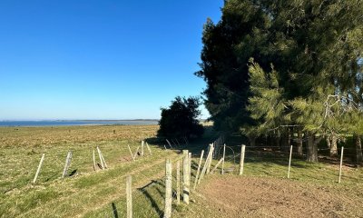 Chachra en José Ignacio de 37 ha,  con posibilidad de fraccionarla en chacras menores.