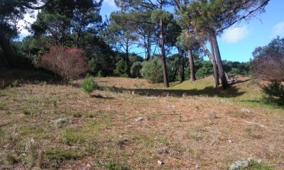 Terreno en venta en La Barra