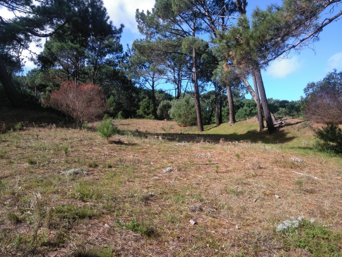 Terreno en venta en La Barra