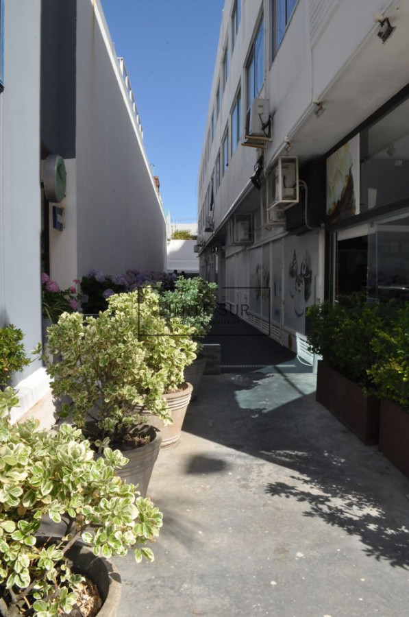 Apartamento ID.109 - Apto sobre Gorlero a 100 mts del Puerto de Punta del este