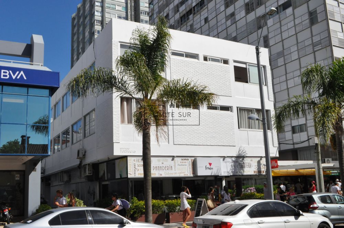 Apartamento ID.109 - Apto sobre Gorlero a 100 mts del Puerto de Punta del este