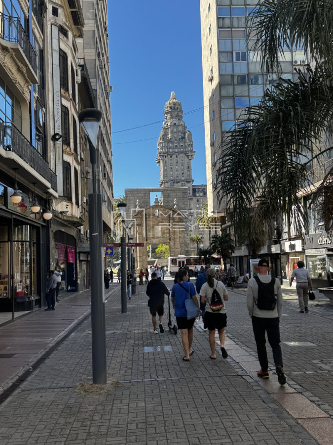 Venta Edificio Corporativo 2000m² en Ciudad Vieja - 5 Niveles - Ideal Inversión (cod 1570)