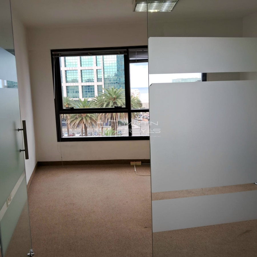 Oficina ID.1225 - Venta 257m2 de Oficinas en Plaza Independencia 