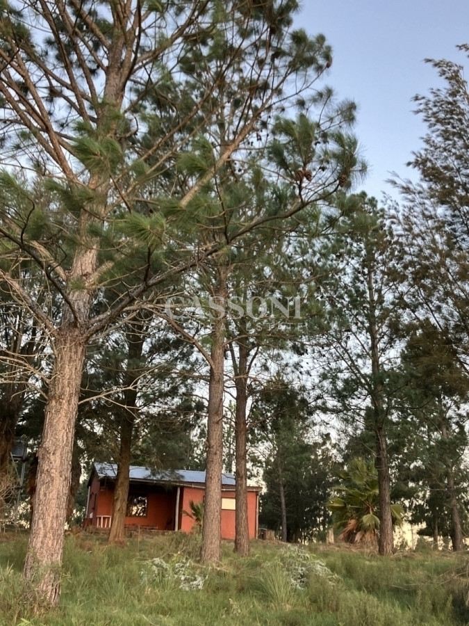 Chacra ID.3393 - Chacra con Casa de 30 ha en Sierra de los Caracoles