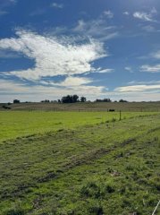 21 HECTAREAS  EN JOSE IGNACIO A LA VENTA
