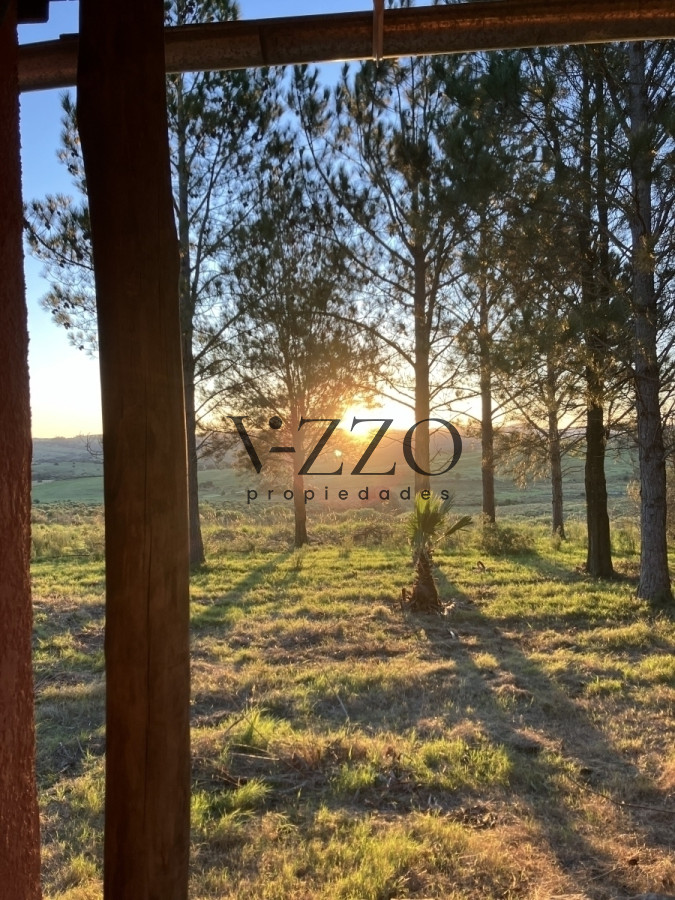 Chacra ID.636/Chacra-con-Casa-de-30-ha-en-Sierra-de-los-Caracoles - Chacra con Casa de 30 ha en Sierra de los Caracoles