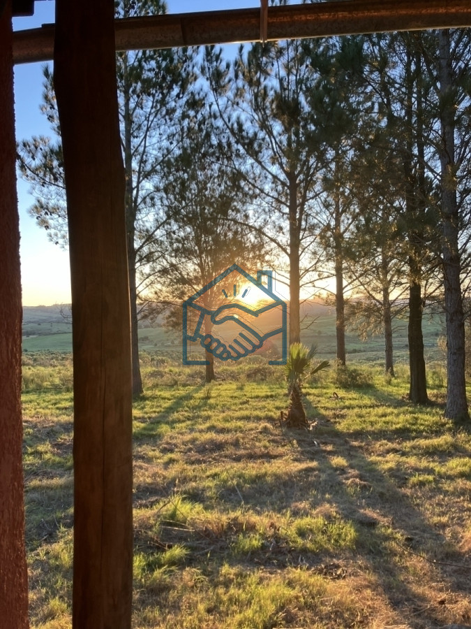 Chacra ID.636/Chacra-con-Casa-de-30-ha-en-Sierra-de-los-Caracoles - Chacra con Casa de 30 ha en Sierra de los Caracoles