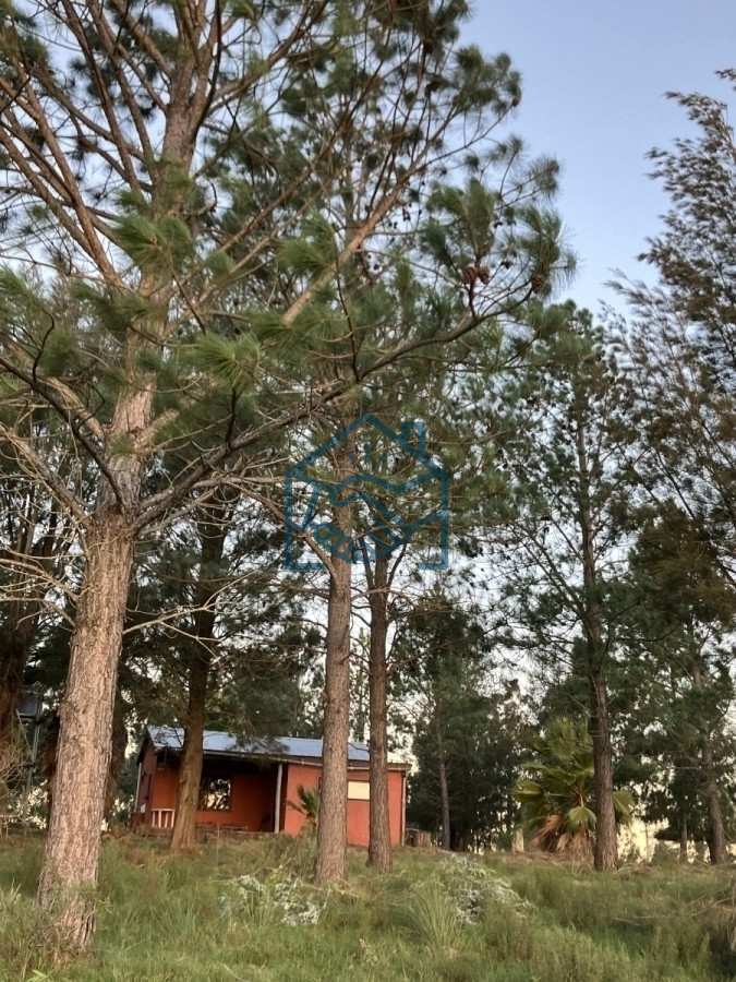 Chacra ID.636/Chacra-con-Casa-de-30-ha-en-Sierra-de-los-Caracoles - Chacra con Casa de 30 ha en Sierra de los Caracoles