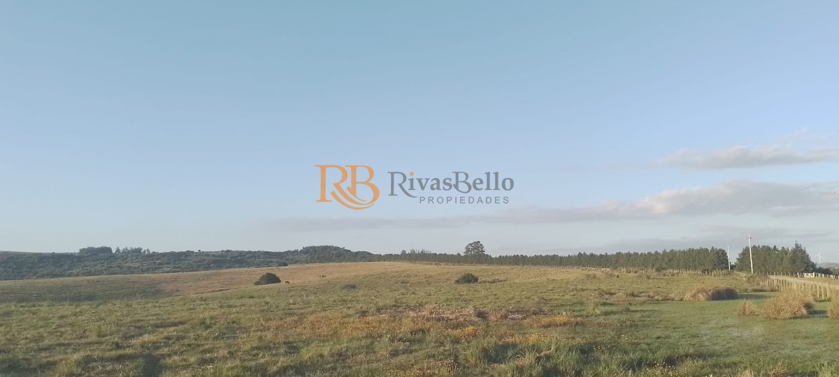 Chacra ID.94 - Chacra con Casa de 30 ha en Sierra de los Caracoles