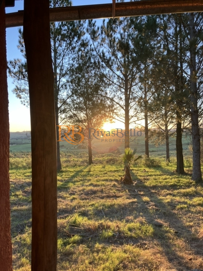 Chacra ID.94 - Chacra con Casa de 30 ha en Sierra de los Caracoles