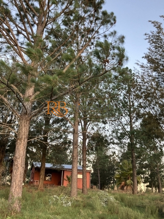 Chacra ID.94 - Chacra con Casa de 30 ha en Sierra de los Caracoles