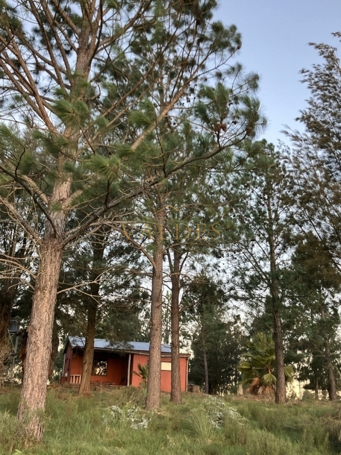 Chacra ID.5050 - Chacra con Casa de 30 ha en Sierra de los Caracoles
