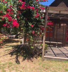 TERRENO CON 2 CASAS EN VENTA