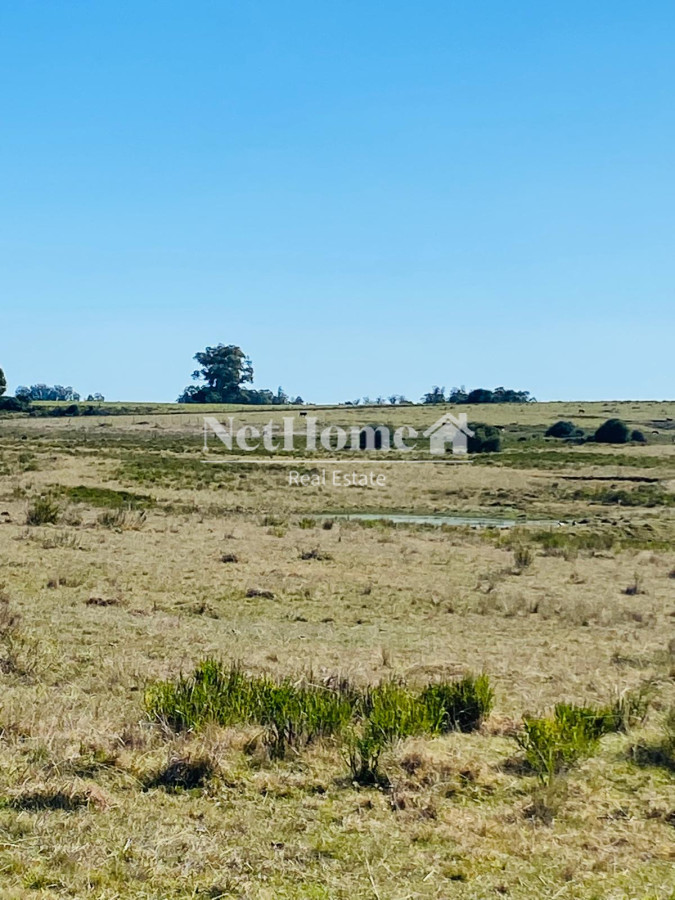 Chacra ID.961 - 21 HECTAREAS  EN JOSE IGNACIO A LA VENTA