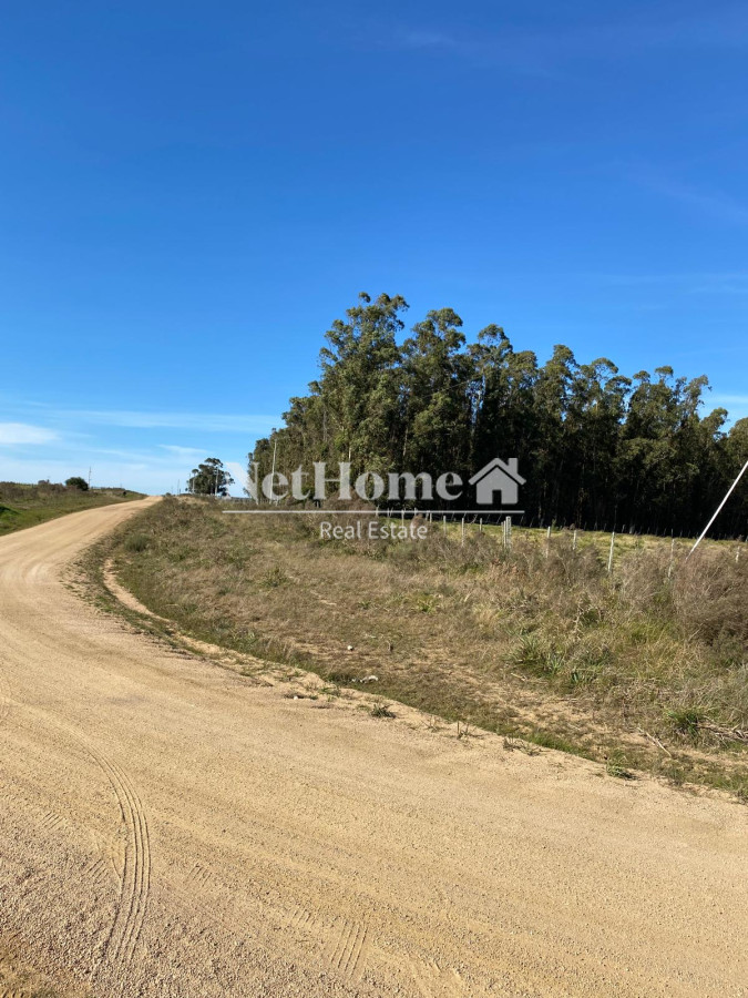 Chacra ID.914 - 5 HECTARAS EN CORTE DE LA LEÑA , ALAMBRADAS , AGUADA , LUZ EN PUERTA 
