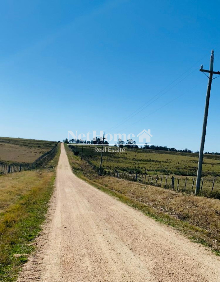 Chacra ID.961 - 21 HECTAREAS  EN JOSE IGNACIO A LA VENTA