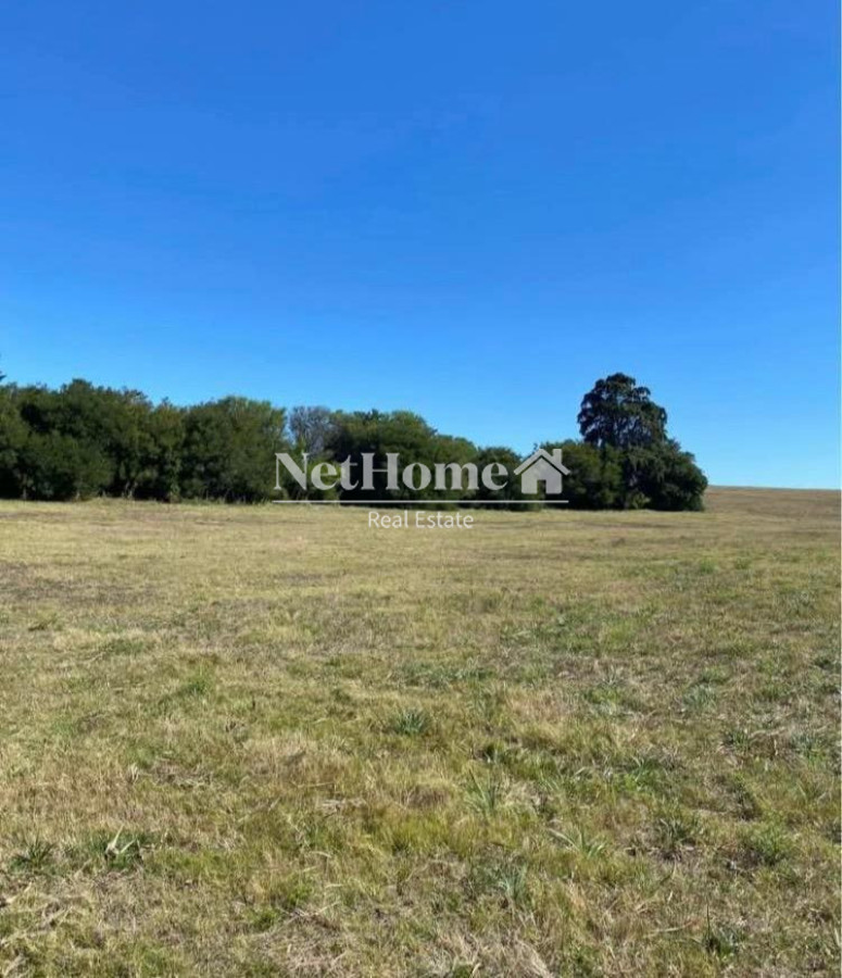 Chacra ID.1076 - 10 HECTAREAS EN VENTA SOBRE RUTA 9 A 8 KILOMETROS DE SAN CARLOS