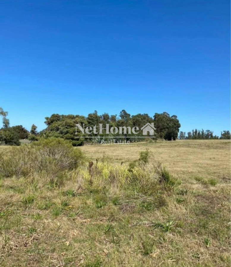 Chacra ID.1076 - 10 HECTAREAS EN VENTA SOBRE RUTA 9 A 8 KILOMETROS DE SAN CARLOS