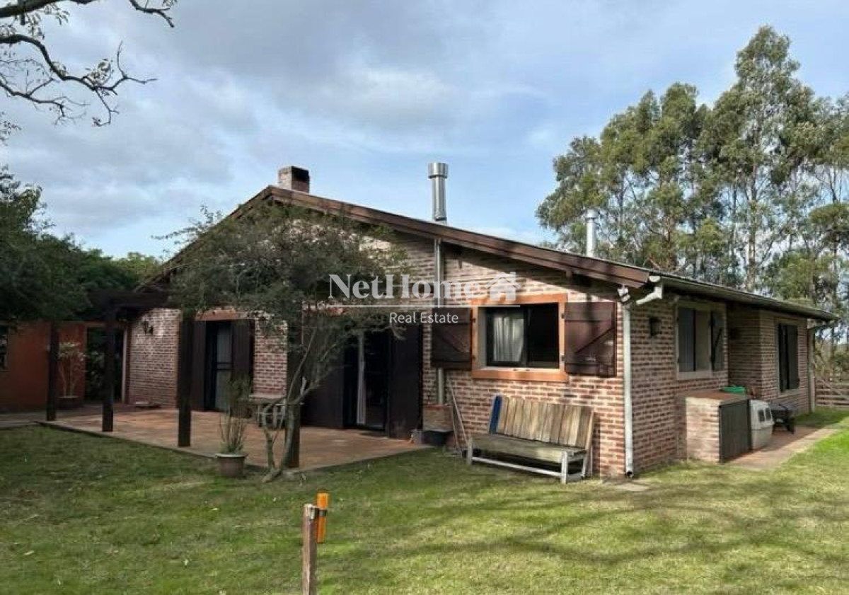 Chacra ID.1075 - Excelente inversión de 19 hectáreas sobre ruta 12 Pueblo Eden