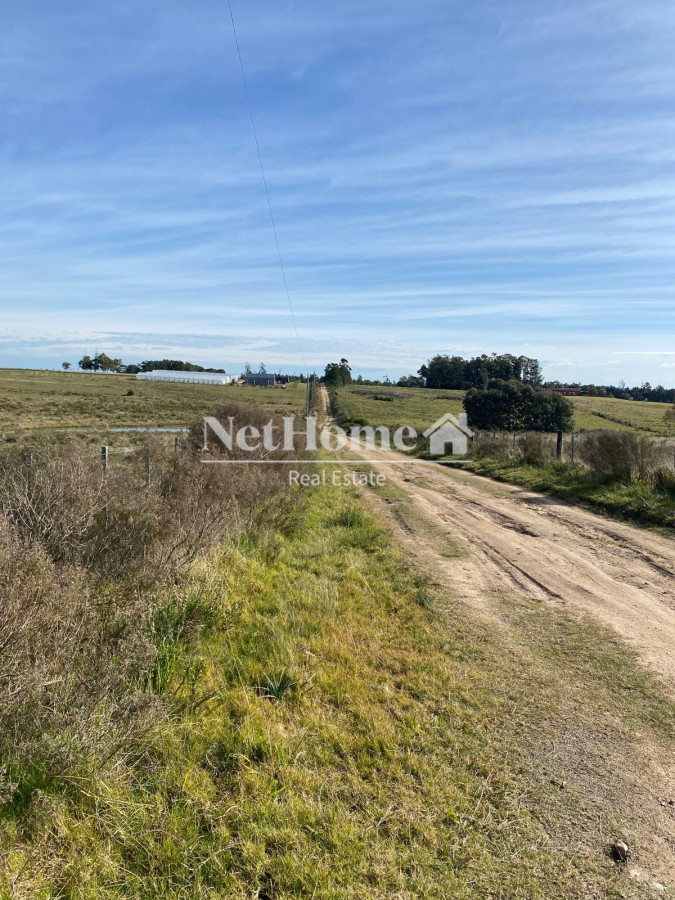 Chacra ID.915 - CAMINO CERRO EGUZQUIZA 5 HECTAREAS EN VENTA 