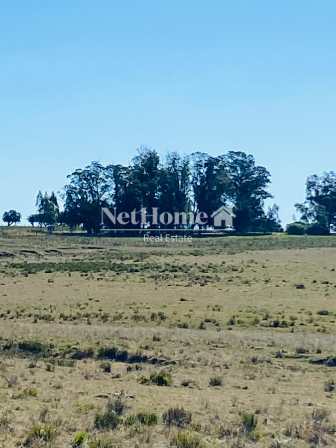 Chacra ID.961 - 21 HECTAREAS  EN JOSE IGNACIO A LA VENTA