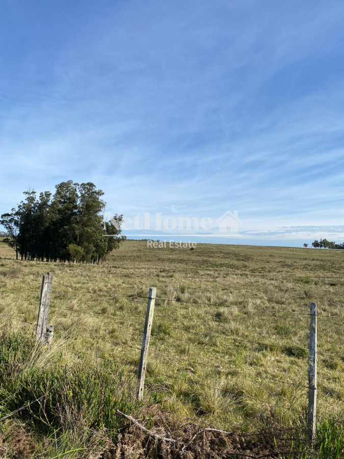 Chacra ID.915 - CAMINO CERRO EGUZQUIZA 5 HECTAREAS EN VENTA 