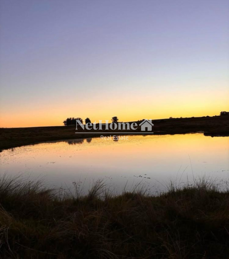 Chacra ID.961 - 21 HECTAREAS  EN JOSE IGNACIO A LA VENTA