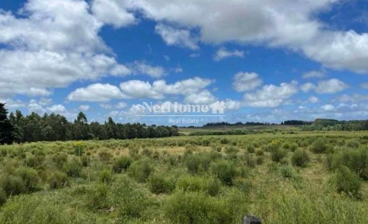 Chacra ID.1076 - 10 HECTAREAS EN VENTA SOBRE RUTA 9 A 8 KILOMETROS DE SAN CARLOS