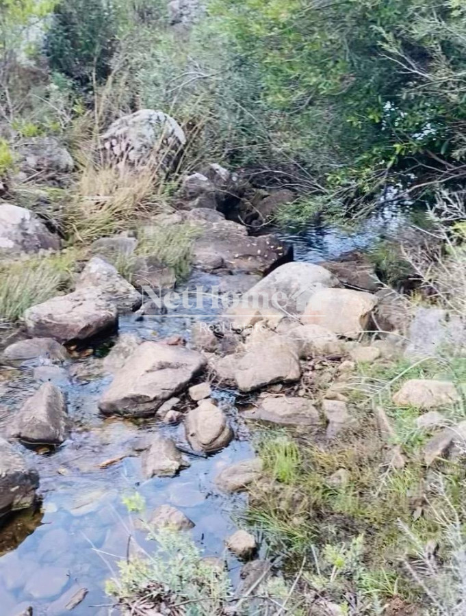Chacra ID.1075 - Excelente inversión de 19 hectáreas sobre ruta 12 Pueblo Eden