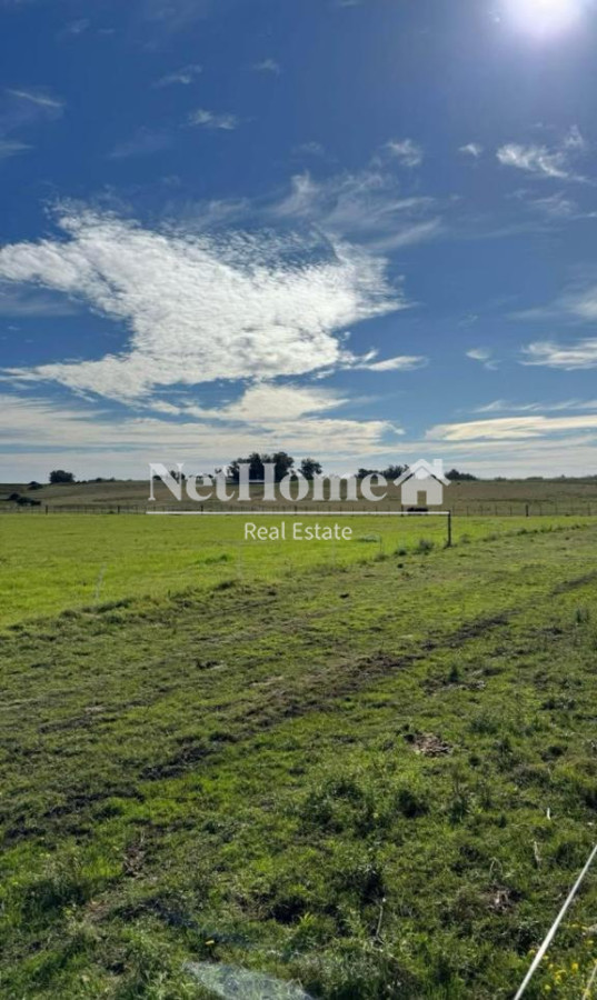Chacra ID.961 - 21 HECTAREAS  EN JOSE IGNACIO A LA VENTA