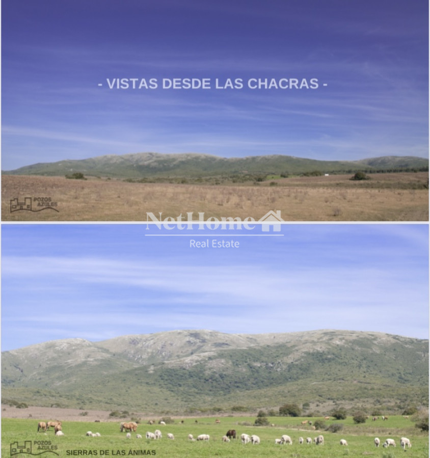 Chacra ID.550 - Chacras Pozos Azules