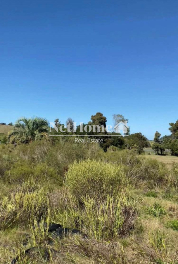 Chacra ID.1076 - 10 HECTAREAS EN VENTA SOBRE RUTA 9 A 8 KILOMETROS DE SAN CARLOS