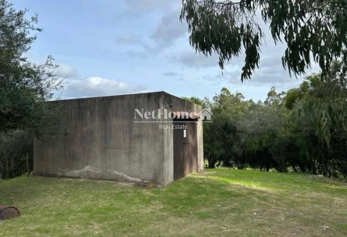 Chacra ID.1075 - Excelente inversión de 19 hectáreas sobre ruta 12 Pueblo Eden